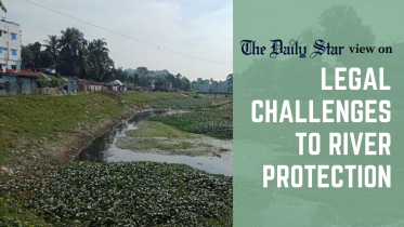 legal_and_extra-legal_challenges_to_river_protection.png