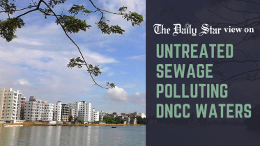 untreated sewage polluting dncc waters