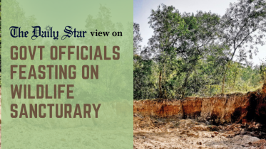 Forests under attack from government officials in Bangladesh