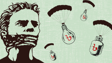 Regulatory capture of energy sector