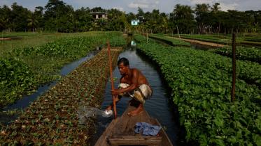 OP 2 - Floating crop beds in Bangladesh - REUTERS