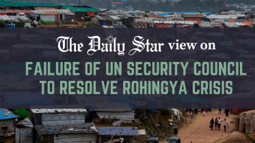 UNSC ignores Rohingya plight 