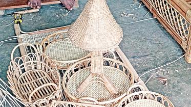 Cheap and durable, cane products hold  huge potential