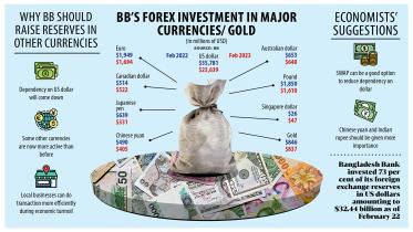 USD investment plunges