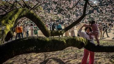 japan.jpg