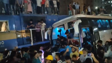 train-bus-collection