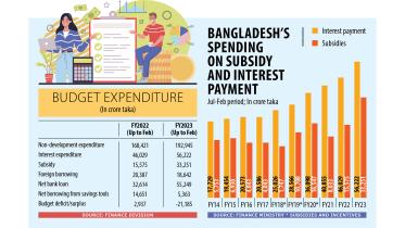 Subsidy, interest bills highest in a decade