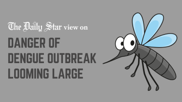 danger of dengue outbreak looming large