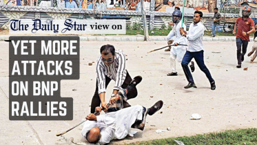 yet_more_attacks_on_bnp_rallies_.png