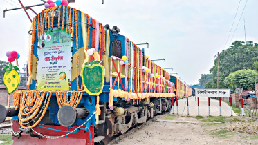 mango-special-train.jpg
