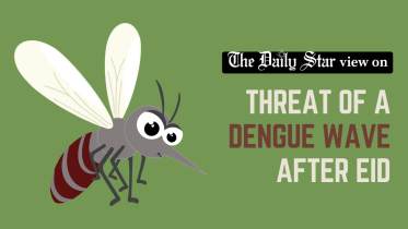 threat of a dengue wave after eid
