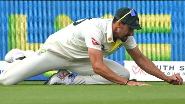 starc-catch.jpg