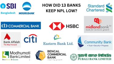 how_did_13_banks_keep_npl_low.jpg
