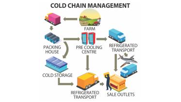 cold_chain.jpg