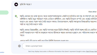 google bard bangla.png