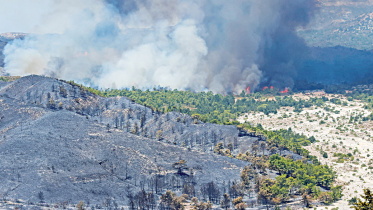 wildfire-rhodes-greece.jpg