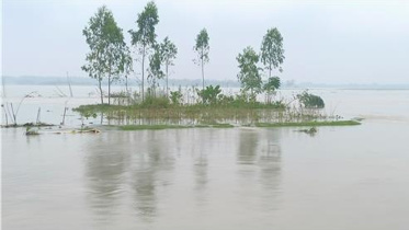 kurigram4.jpg
