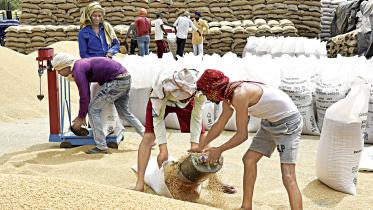 labourers-fill-sacks.jpg