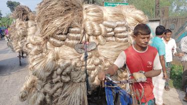 jute-production-low-price.jpg