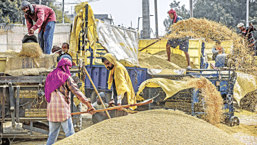 wholesale-grain-market.gif