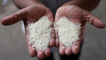 rice-supplier.jpg
