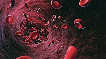 anaemia-rates-1.jpg
