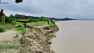 madhumati-river-erosion.jpg