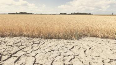 climate-change_adoptation