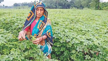 Why do our food producers go hungry? 