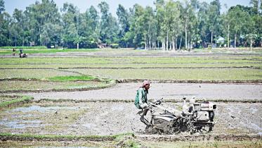 How farmers are adapting to climate change