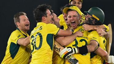 Cricket World Cup final