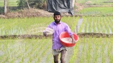 Govt to import 60,000 tonnes of granular urea at Tk 251 crore