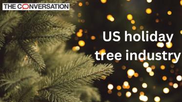 Oh, Christmas tree: The economics of the US holiday tree industry
