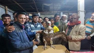 vulture-falls-electioneering.jpg