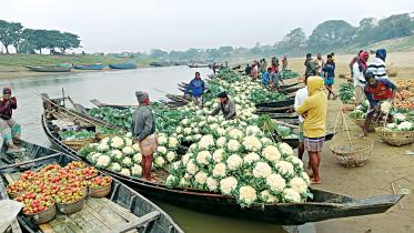 vegetable-sylhet.jpg