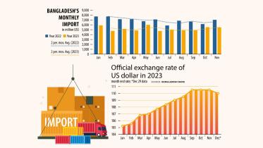 Small and medium firms dollar crisis .jpeg