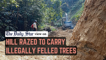 hill razed to carry illegally felled trees
