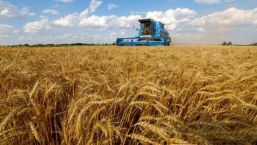 Russia wants to export wheat to Bangladesh