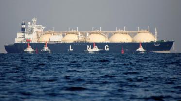 Govt to buy LNG