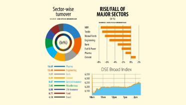 Sector Wise Turnover 
