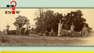 the_daily_star_dhaka_gate_old_photo_f.png