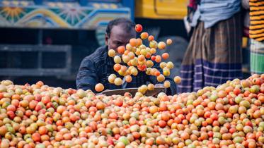 tomato_market_in_bogura.jpg