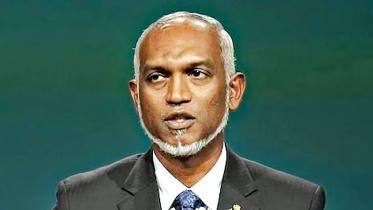 picmuizzu.jpg
