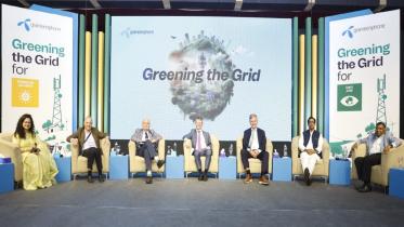 Greening the Grid