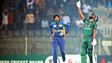 tigers-cricket.jpg