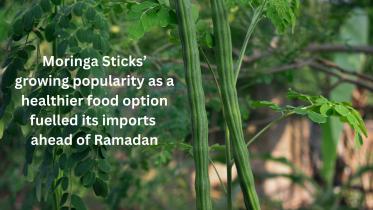 Moringa stick imports rise ahead of Ramadan