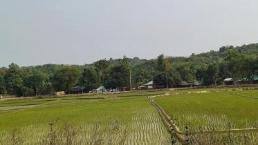 Myanmar conflict: 29 BGP members cross into Bangladesh