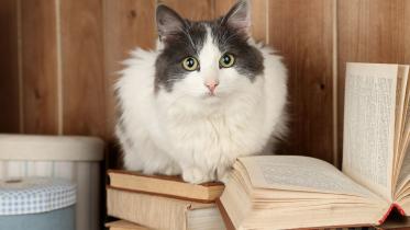 us_library_excusing_overdue_book_charges_in_exchange_for_cat_photos.jpg