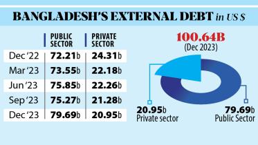 External debt crosses $100b