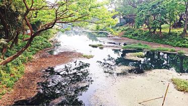 Deaths by pollution in Bangladesh